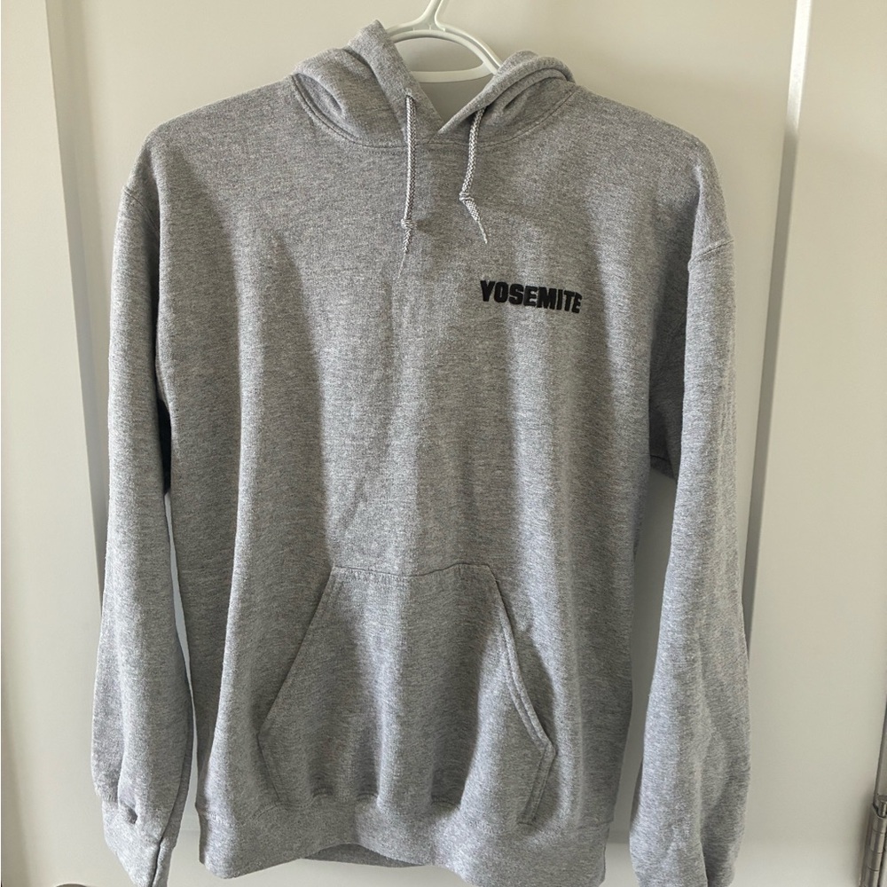 Urban Outfitters Yosemite Gray Hoodie for Men